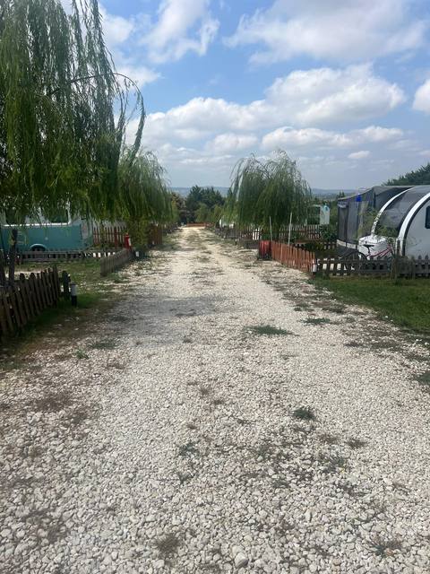 Söğüt ağaçlarıyla gölgelenen karavan yolu