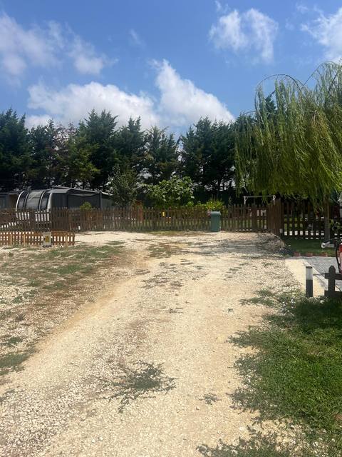 Yeşil çim alan ve yürüyüş yolu
