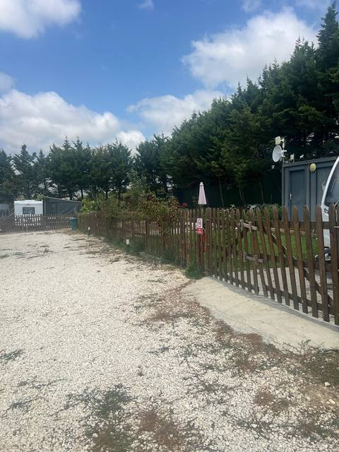 Ağaçlıklı karavan yolu